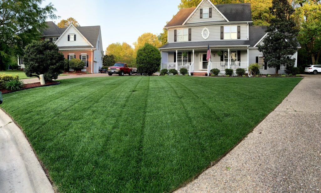 Healthy green lawn
