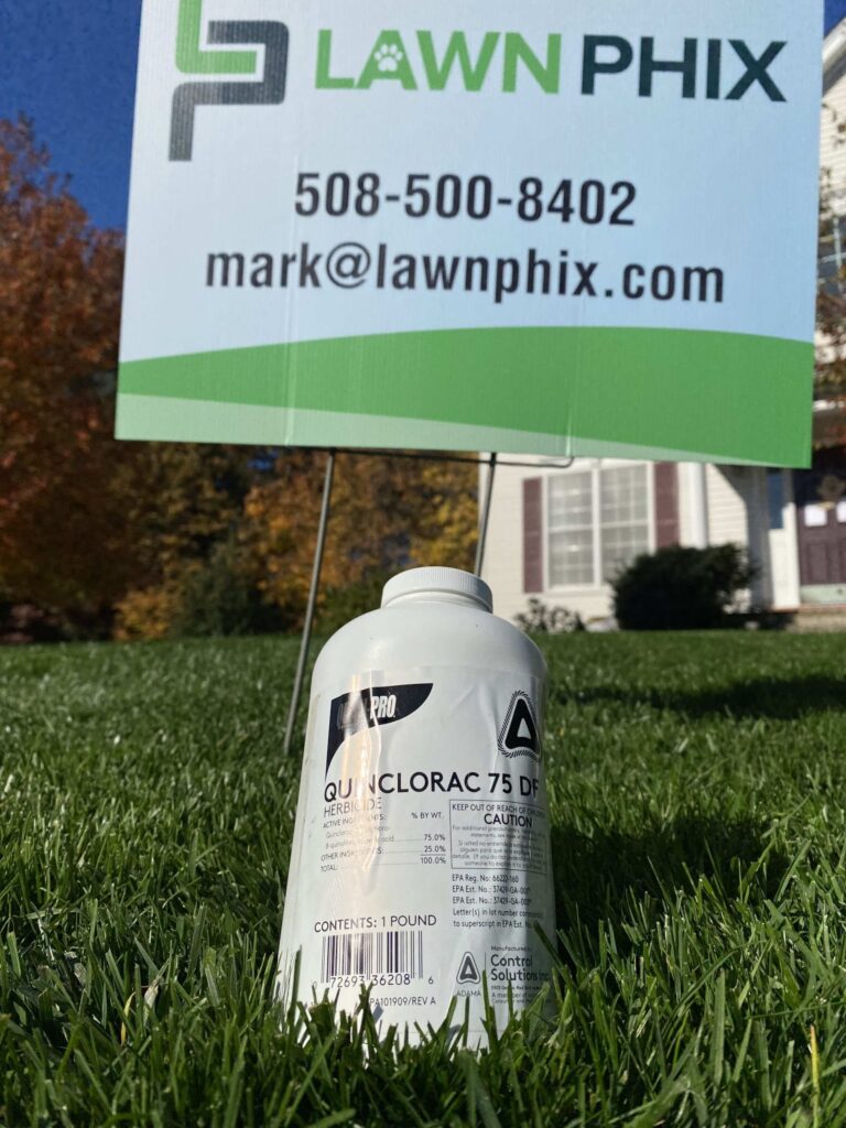 Quinclorac_65wdg__Lawn_Phix